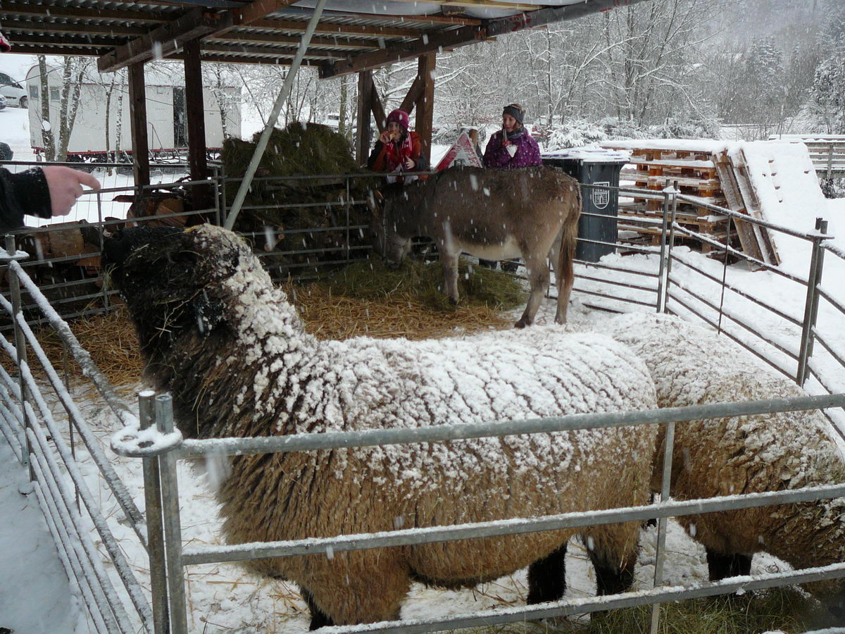 2012-12-09 WMarkt 34.jpg
